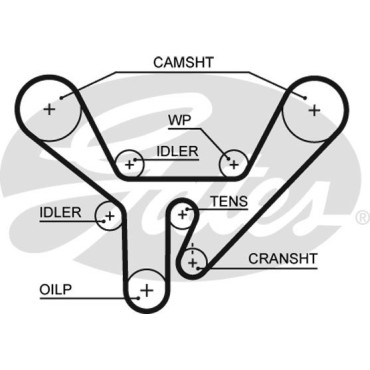 Ремень ГРМ Audi 100/A6/A8/V8