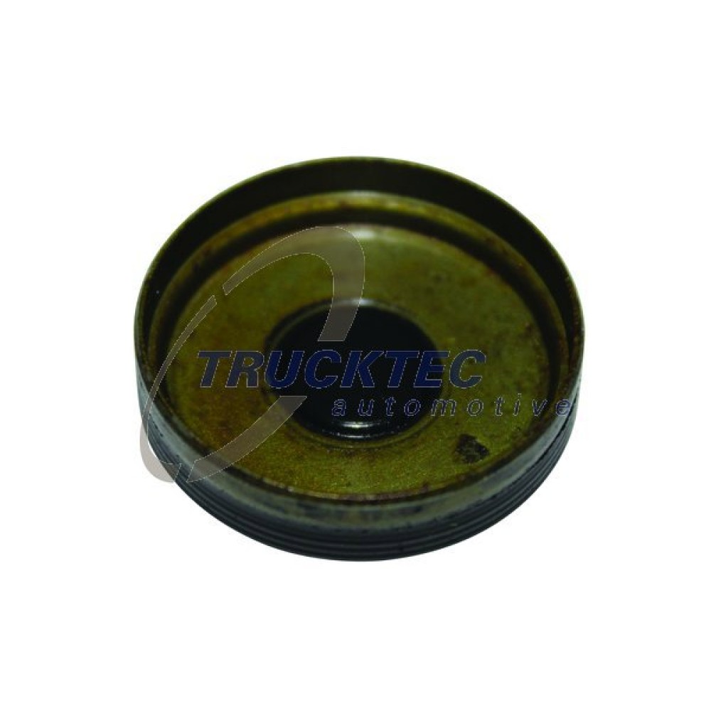 Заглушка ГБЦ CHRYSLER 300C / JEEP GRAND CHEROKEE III / MERCEDES C-CLASS (W203,W204), CLK, CLS, E-CLASS (W211,W212), G-CLASS, M-CLASS, S-CLASS (W221,W222) 3.0 30 mm