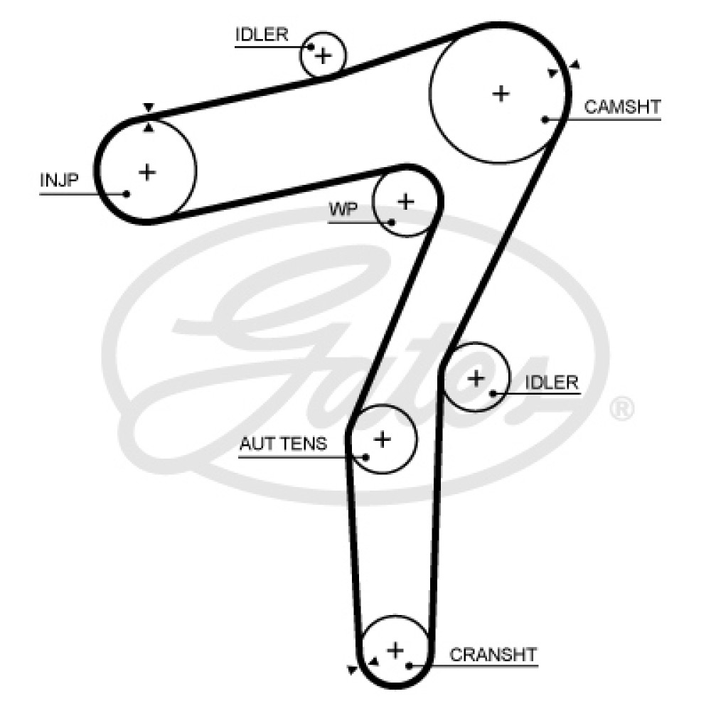 Ремень ГРМ ALFA ROMEO: GIULIA