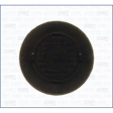 Заглушка блока цилиндров RENAULT LOGAN малая