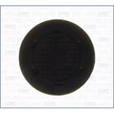 Заглушка блока цилиндров RENAULT LOGAN большая